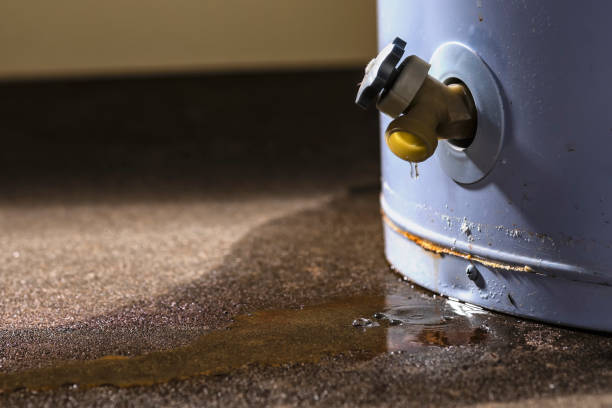 Best Local water damage restoration  in New Richmond, WI