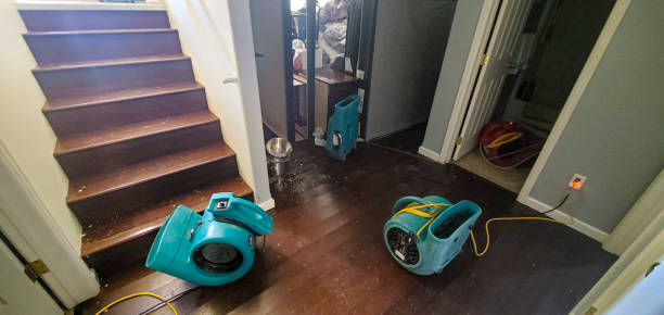 Best Mold removal after water damage  in New Richmond, WI