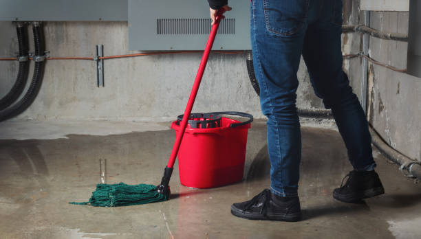 Best 24/7 water damage repair  in New Richmond, WI
