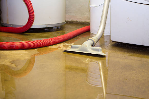 Best Water damage restoration near me  in New Richmond, WI