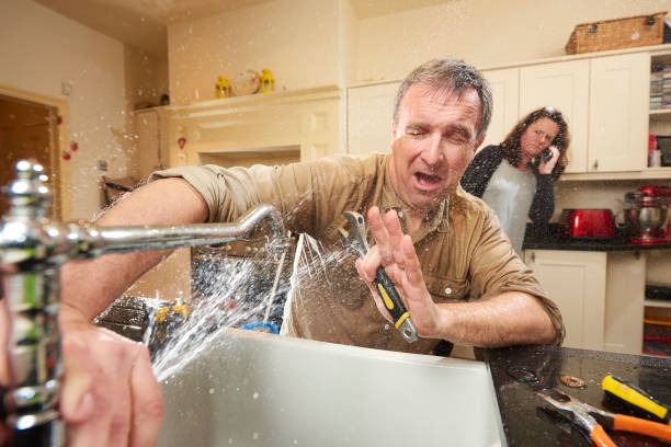Best Flooded house restoration  in New Richmond, WI